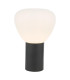 Zorah Touch Table Lamp Opal Glass and Matt Black-1
