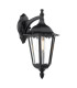 Eddard Outdoor Wall Light Matt Black and Glass IP44-1