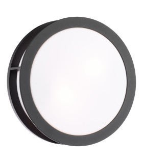 Ratana Outdoor Wall Light Matt Black and Opal IP44-1