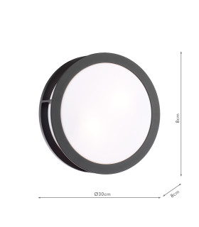 Ratana Outdoor Wall Light Matt Black and Opal IP44-2
