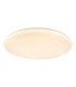 Duena Flush White Frosted Acrylic LED-1
