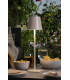 Derrick Rechargeable Outdoor Table Lamp Satin Taupe LED IP54-2