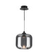 Eileen Ceiling Pendant/Wall Light Matt Black and Smoked Glass LED-7
