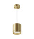 Polar Slim Pendant Ceiling Light Matte gold GX53-2