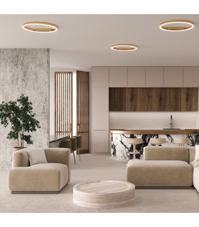 Rim LED Semi Flush Ceiling Light Brass 3000-4000K Dimmable-2