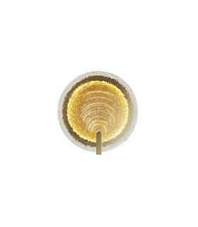 Regatta LED Wall Lamp Brass 3000K-1