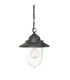Sandown Chain Lantern Outdoor Pendant Ceiling Light Black IP44-1