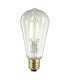 Clear Edison LED E27 Lamp Clear Glass-1