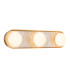 Alonso Triple Light Integrated LED Wall Lamp Vintage Brass-1