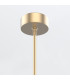 Floriana 5 Leaf Integrated LED Pendant Ceiling Light Natural Brass-5
