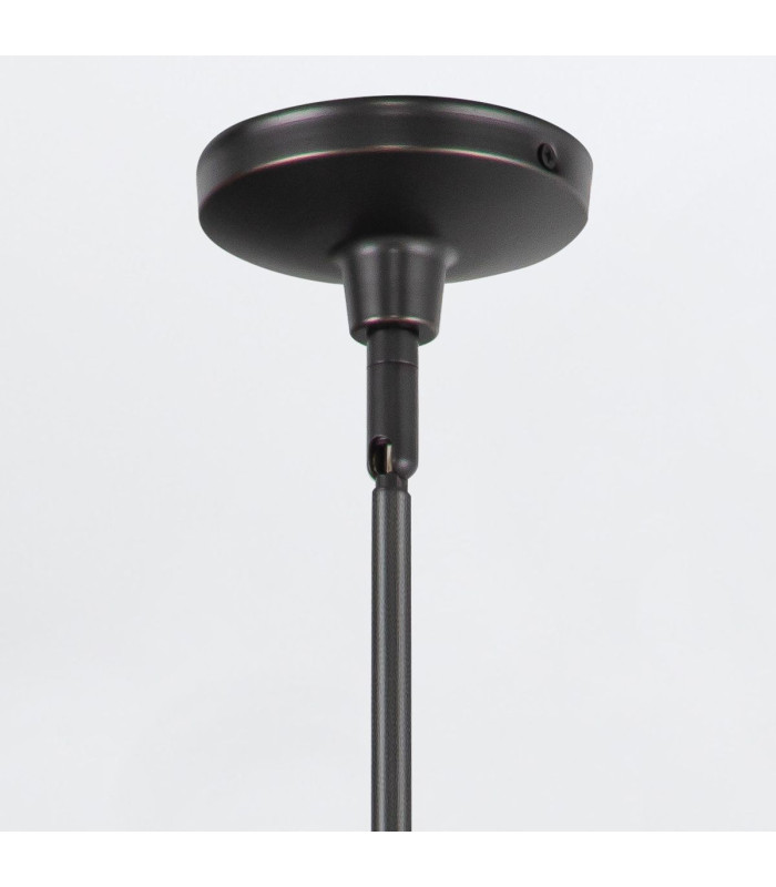 Palmetto Dome Pendant Ceiling Light Urban Bronze-6