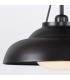 Palmetto Dome Pendant Ceiling Light Urban Bronze-7