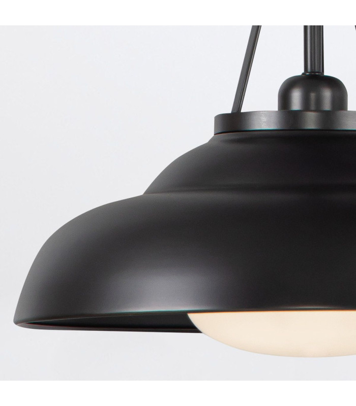 Palmetto Dome Pendant Ceiling Light Urban Bronze-7