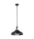Palmetto Dome Pendant Ceiling Light Urban Bronze-9