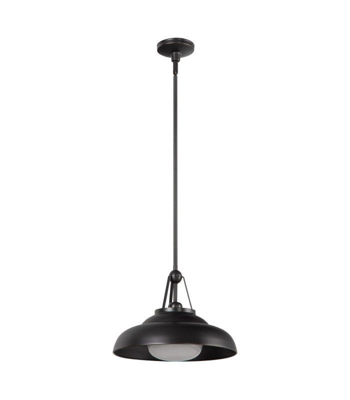 Palmetto Dome Pendant Ceiling Light Urban Bronze-9