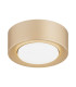 Elora Surface Mounted Downlight Gold GX53-1