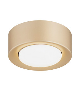 Elora Surface Mounted Downlight Gold GX53-1