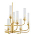 Preston 12 Light Multi Arm Pendant Ceiling Light Brushed Brass Clear Glass Shade E14-5