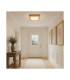 Tabor 42cm Flush Ceiling Light Peach E27-2