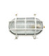 Horatio Solid Brass Oval Bulkhead White Finish IP64