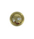 Marina Solid Brass Round 14cm Guard Circular Bulkhead Satin Nickel Finish IP64
