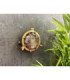 Mini Solid Brass Round 14cm Compass Guard Bulkhead Lamp Antique Brass Finish IP44