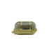 Palaemon Solid Brass Oval Bulkhead Raw Brass Finish IP64-5