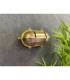 Palaemon Solid Brass Oval North Bulkhead Decorative Uplight Slits Raw Brass Finish IP64-3