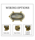 Small Solid Brass Oval Siren Bulkhead without Grill Raw Brass Finish IP64