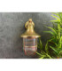 Tiller Solid Brass Wall Lantern Antique Brass Finish IP64-9