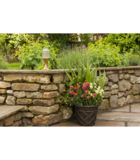 Wellington Solid Brass Pedestal Post Lantern Antique Brass Finish IP54-2