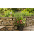 Wellington Solid Brass Pedestal Post Lantern Satin Nickel Finish IP54-2