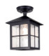 Winchester 1 Light Outdoor Ceiling Lantern Black IP43 E27-1