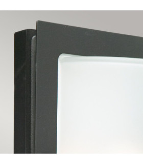 1 Light Outdoor Frosted Flush Wall Light Black IP54 E27-2