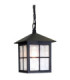 Winchester 1 Light Outdoor Ceiling Chain Lantern Black IP43 E27-1