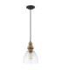 Matrimonio 1 Light Dome Pendant Driftwood-1