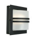 Bern 1 Light Outdoor Frosted Wall Light Black IP65 E27-1