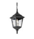 Kerry 1 Light Outdoor Coastal Ceiling Chain Lantern Black IP44 E27-1