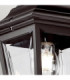 Kerry 1 Light Outdoor Coastal Ceiling Chain Lantern Black IP44 E27-3