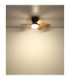Delores Ceiling Fan Matt Black Dark Brown Blades Remote Control LED 2700/6500K-8