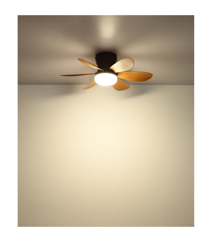 Delores Ceiling Fan Matt Black Dark Brown Blades Remote Control LED 2700/6500K-8