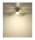Delores Ceiling Fan Matt White Sand Blades Remote Control LED 2700/6500K-8