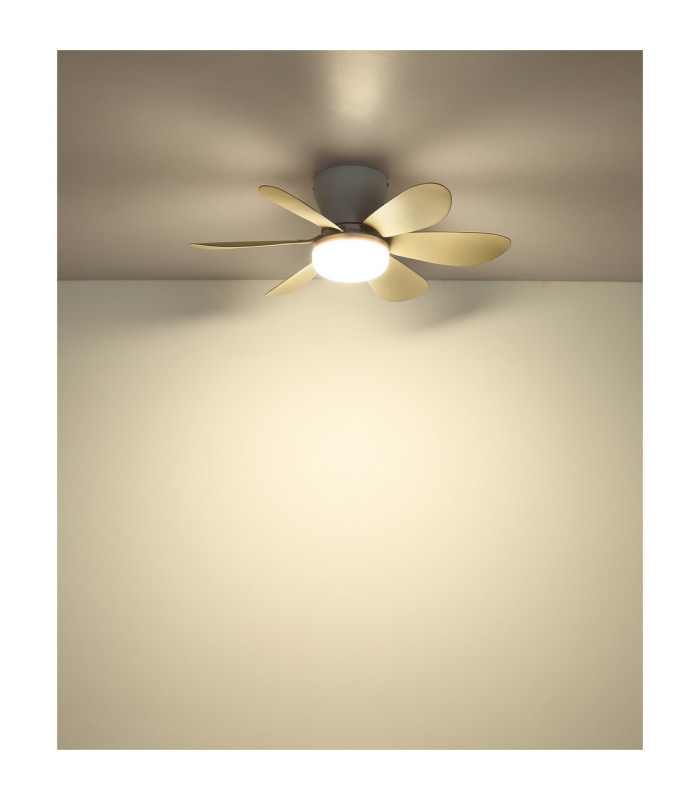 Delores Ceiling Fan Matt White Sand Blades Remote Control LED 2700/6500K-8