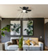 Delores Ceiling Fan Matt Black Black Blades Remote Control LED 2700/6500K-2