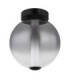 Lacy Globe Ceiling Light Matt Black Smoke Glass Shade LED 3000K-3