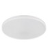 Dwain Flush Ceiling Light Matt White RGB LED 3000/6500K