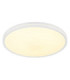 Dwain Flush Ceiling Light Matt White RGB LED 3000/6500K