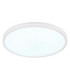 Dwain Flush Ceiling Light Matt White RGB LED 3000/6500K