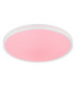 Dwain Flush Ceiling Light Matt White RGB LED 3000/6500K