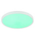 Dwain Flush Ceiling Light Matt White RGB LED 3000/6500K